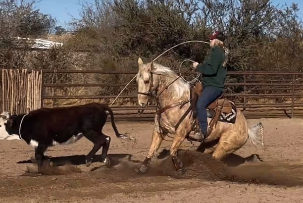Darlin HideTheWhizkey