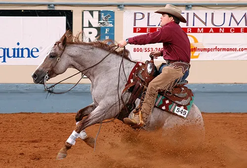 Ciscos Roan Ranger - Cisco Lena x Changabang