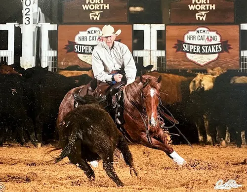 Reysin A Rebel @ NCHA Super Stakes