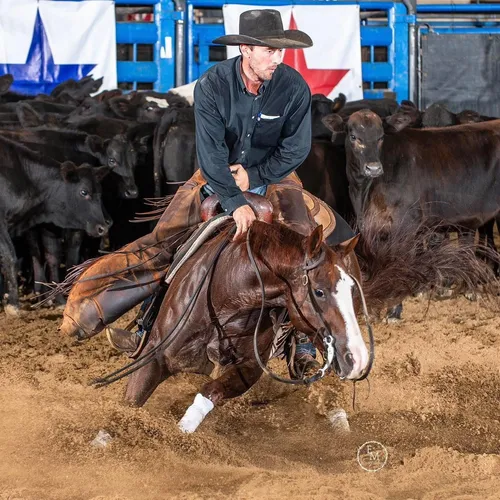 I Like Cash Money (LTE $101k)- by Reyzin The Cash out of Smooth N Smokin