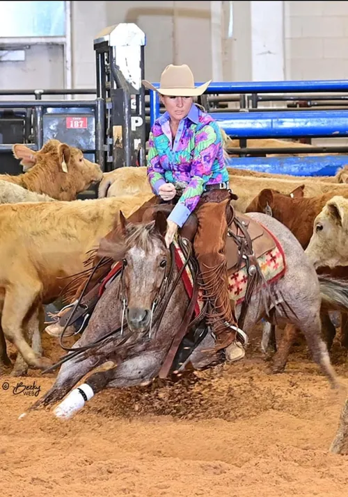 Smokin Red Hott (LTE $121k) - by Hottish out of Smooth N Smokin