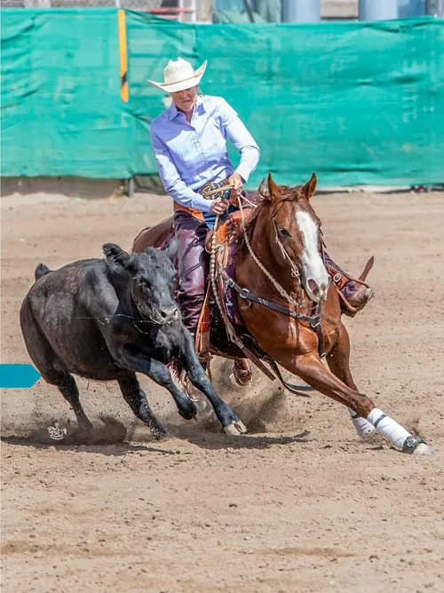 Missreymembered (LTE $23k) - by Dual Rey out of Smooth N Smokin