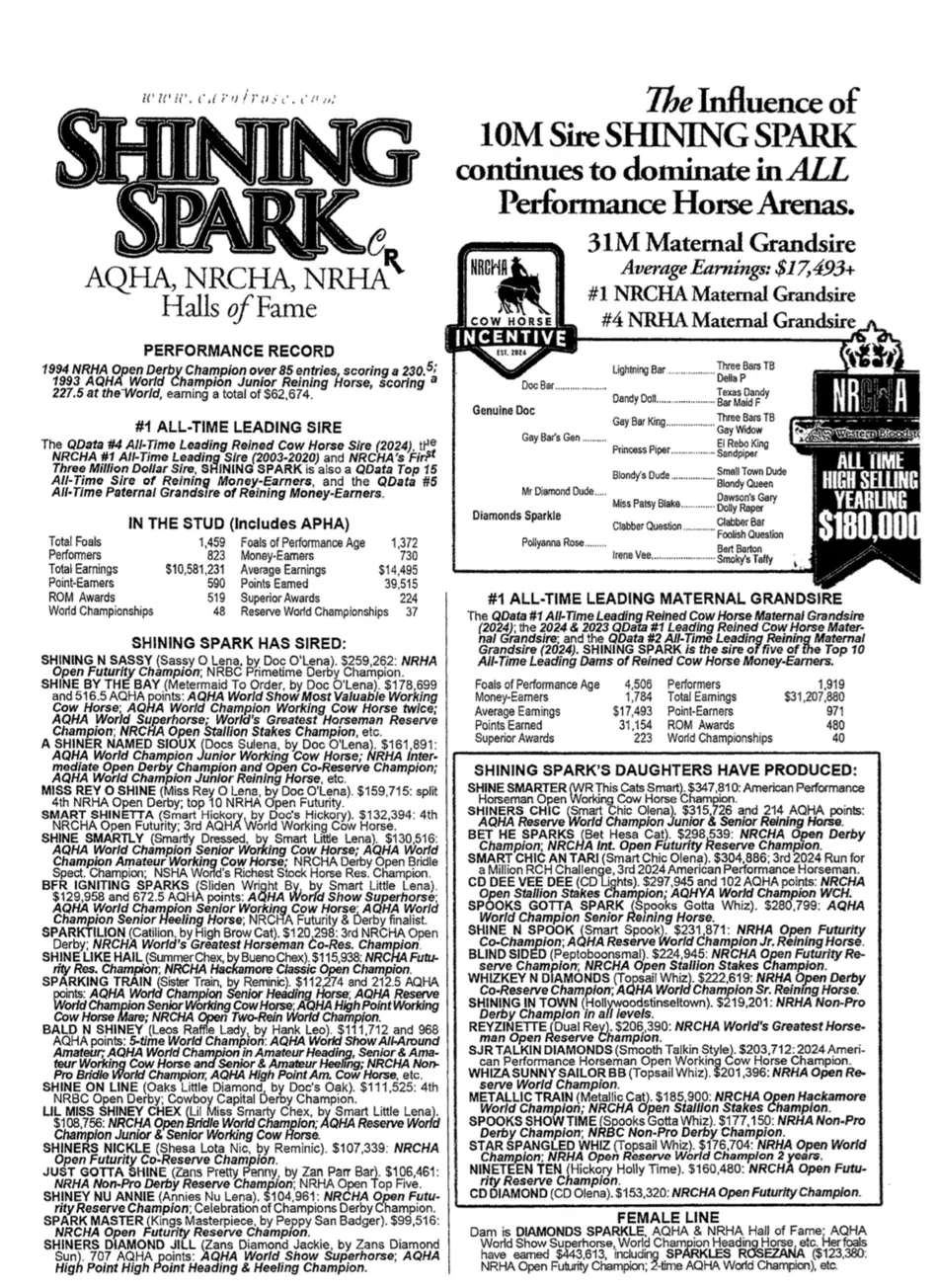 Shining Spark x Exoticat - Foal In Utero