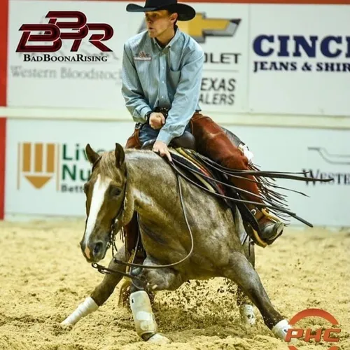 Smart Lookin Sannman LTE $206k - Grandson of Didgeridually